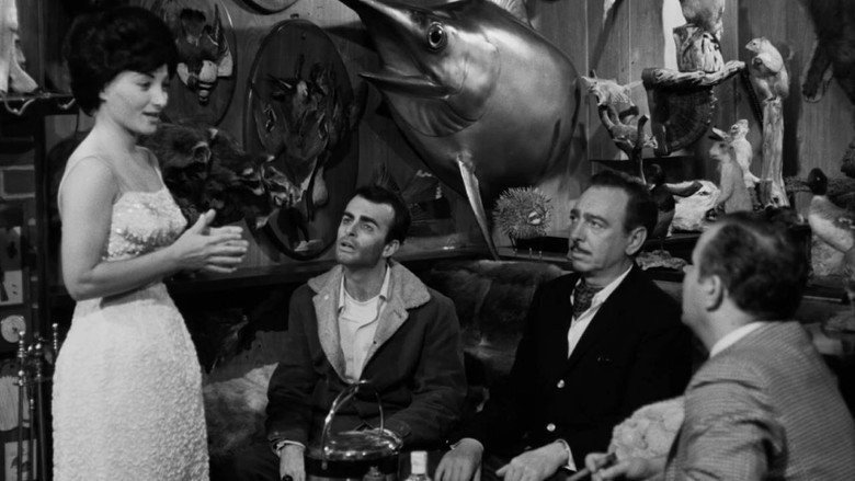 Frame from Confessions of a Psycho Cat