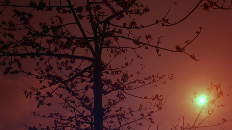 Gallery image from 96BuheK9Judml3IsVs19YuSGO8p.jpg