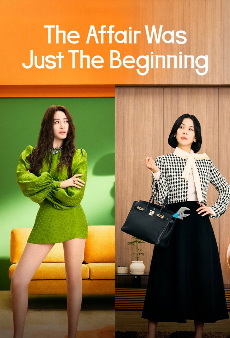 The Affair Was Just The Beginning - TV Show Poster