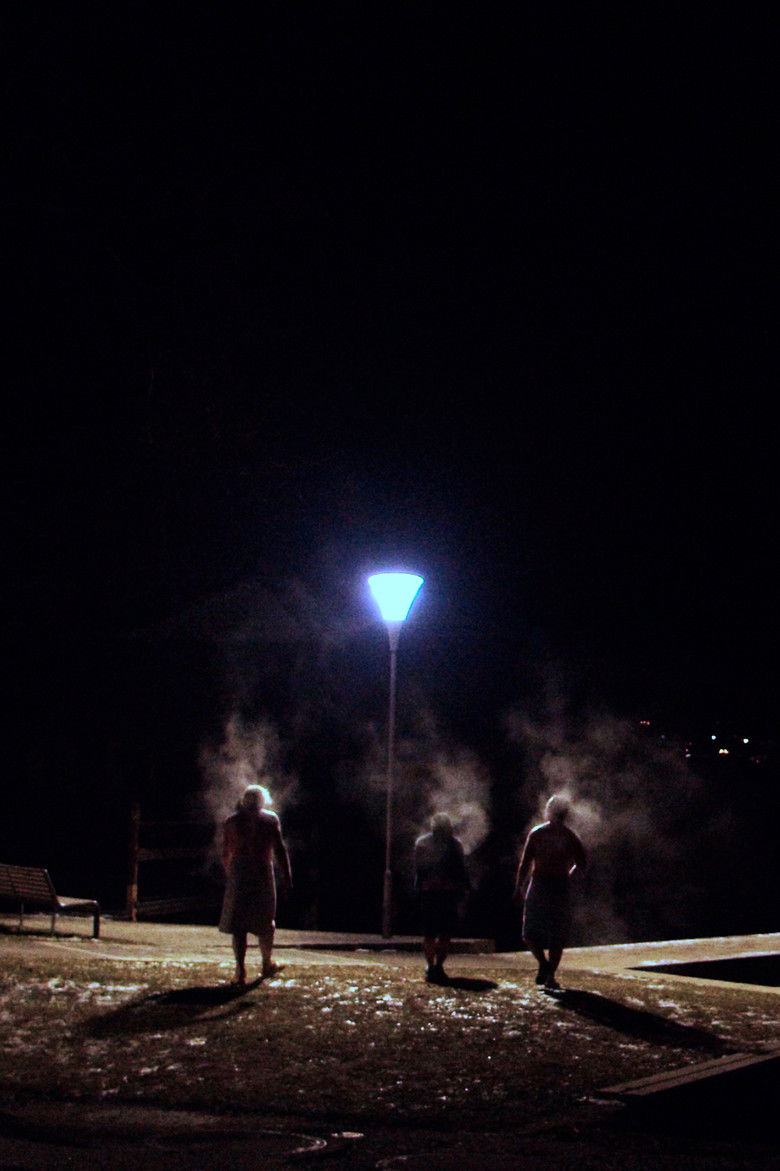 Imatge de Die Saunagänger vom Attersee