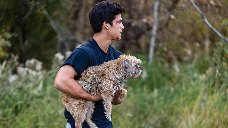 Gallery image from 96gJJblhc0M3Gci58b5AfQlBTRc.jpg