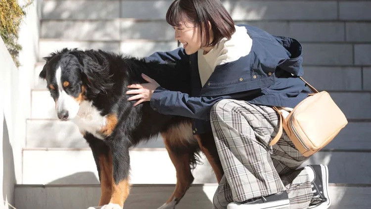 Still image for Legal Enforcement With Dogs season 1 episode 2: Episode 2 Still image for Legal Enforcement With Dogs season 1 episode 2: Episode 2