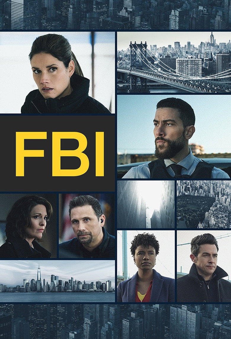 Póster la Serie