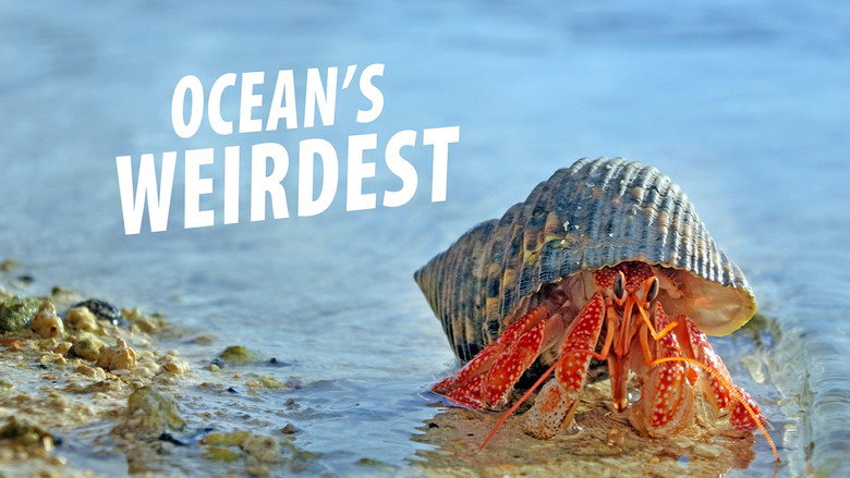 Ocean's Weirdest 6
