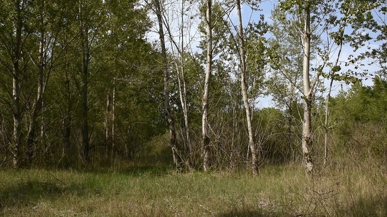 Gallery image from 99uWfKp8eF0ynhDw1yBG8QrWIDt.jpg
