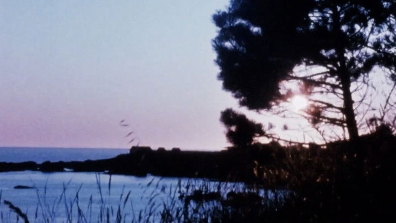 Gallery image from 9A1mpgG9No2xAL7aJKqBdIxsDQJ.jpg