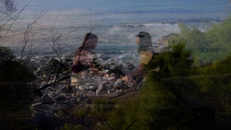 Imatge de Bajo la Bruma