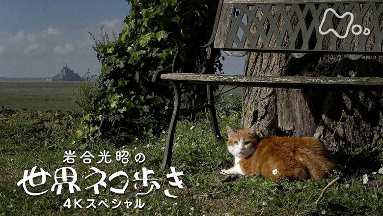 Still image for Mitsuaki Iwago's World “Cats” Travelogue season 1 episode 140: Normandy Still image for Mitsuaki Iwago's World “Cats” Travelogue season 1 episode 140: Normandy