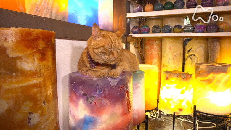 Still image for Mitsuaki Iwago's World “Cats” Travelogue season 1 episode 101: Karuizawa Still image for Mitsuaki Iwago's World “Cats” Travelogue season 1 episode 101: Karuizawa