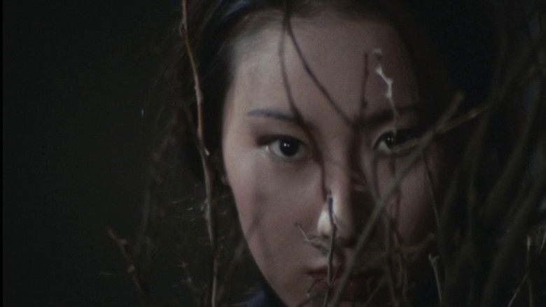 Imatge de 怪猫トルコ風呂