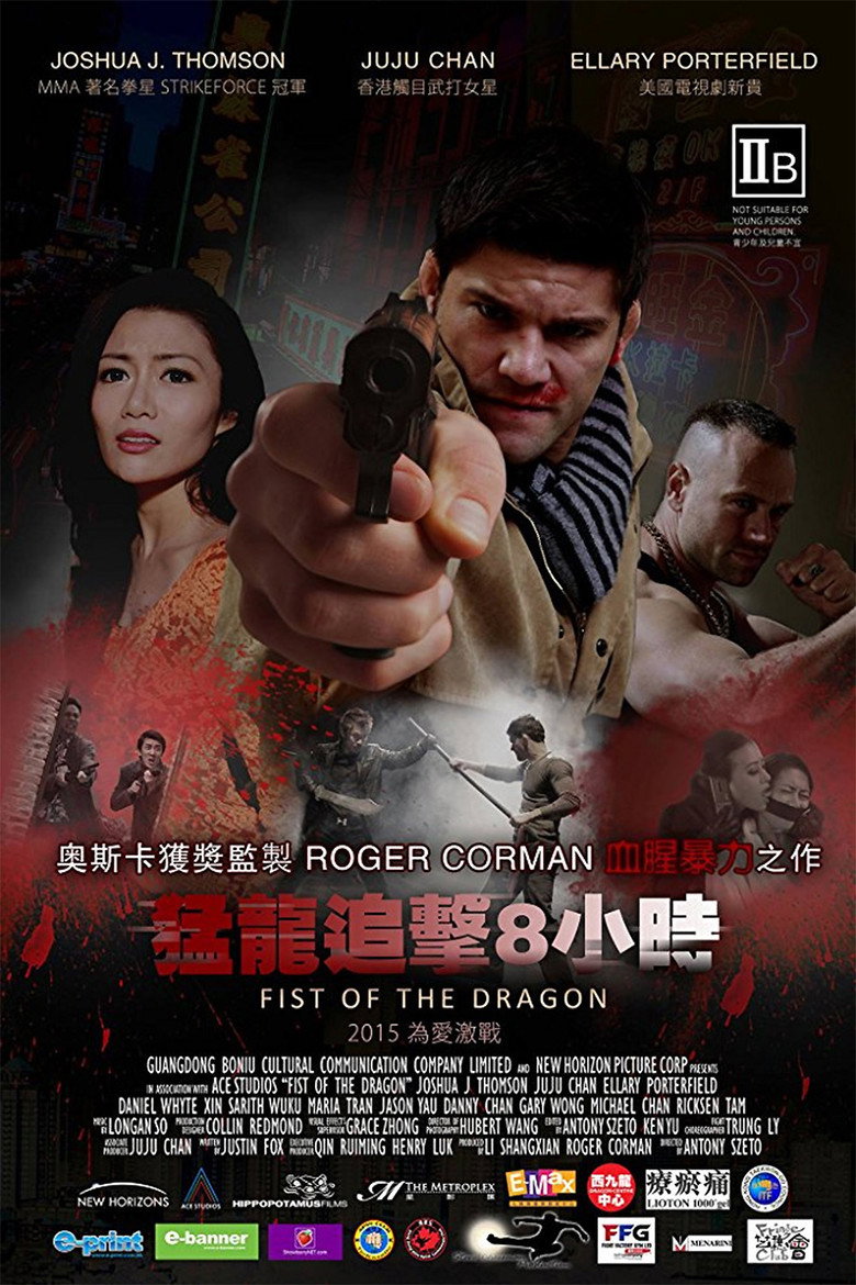 龙之铁拳 封面海报