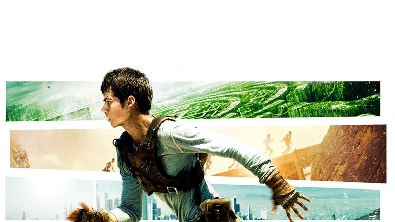 The Maze Runner Collection