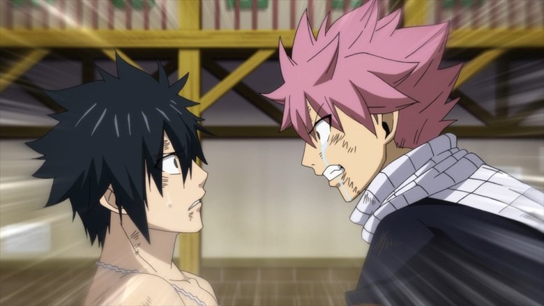 Fairy Tail épisode 317 en streaming Vostfr et vf