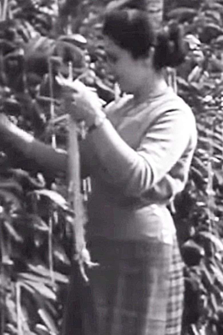 Imatge de The Swiss Spaghetti Harvest