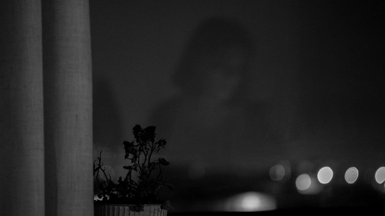 Gallery image from 9DUWM2YhzSE7OLGy1AWjq1MlkmB.jpg