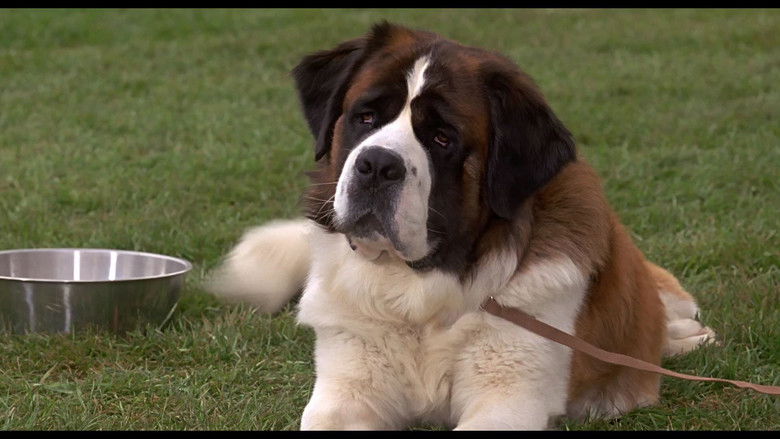 Backdrop de Beethoven Collection