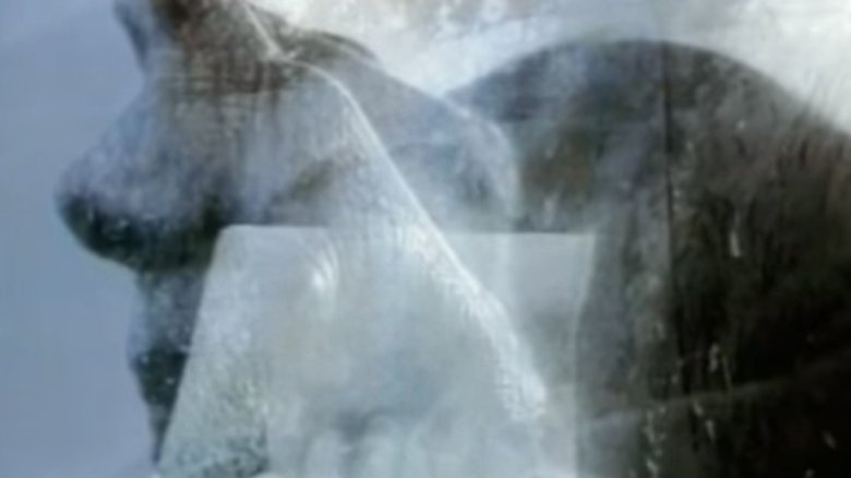 Gallery image from 9E9J3CQGHzLACYN2S3egrtnT54F.jpg