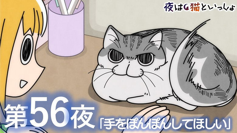 Still image for Nights with a Cat season 1 episode 56: Night 56: Please Pat My Hand