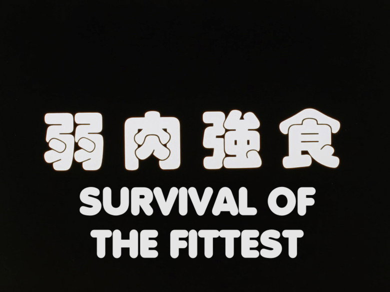 Survival of the Fittest