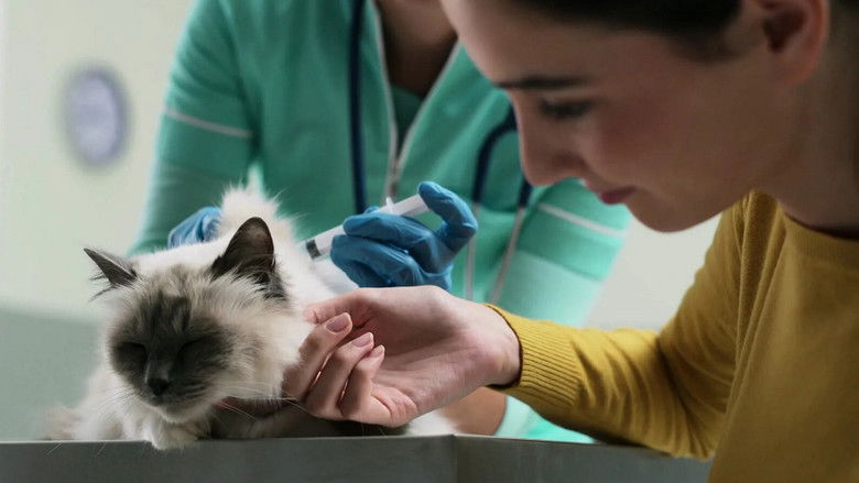 Still image for P.M. Wissen season 1 episode 91: Episode 91