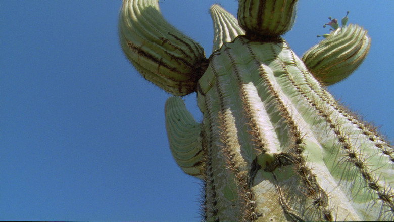 Still from Planet Erde - Season 1 Episode 5