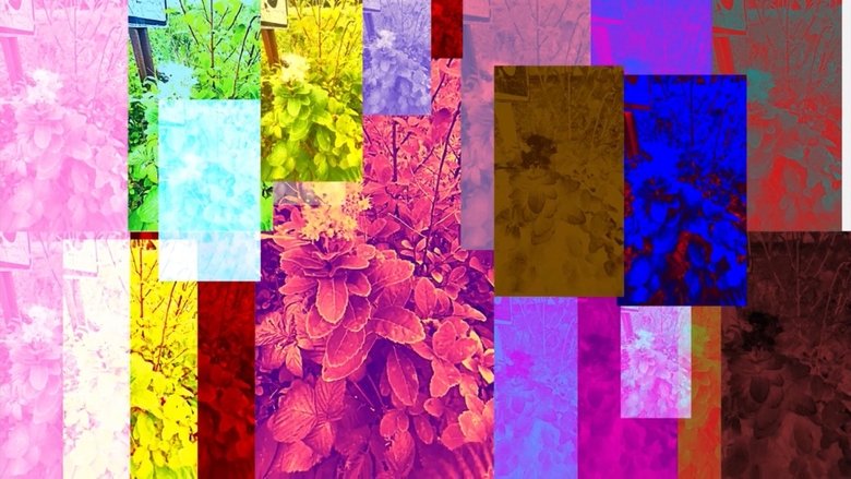 Gallery image from 9HTBpfx8uRKgeXJxZhW2DIWMgyK.jpg