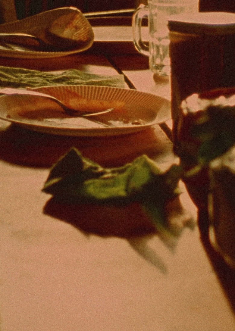 Imatge de Star Garden