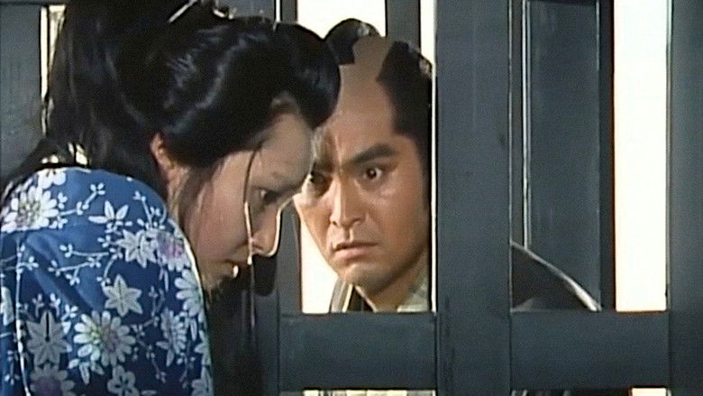 Image d'arrière-plan 4 du film おんな犯科帳 江戸拷問刑罰抄