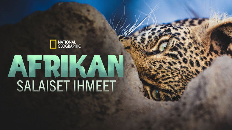 Gallery image from 9IpoLtaaPxTRh6nol3fdNnZ3DTn.jpg