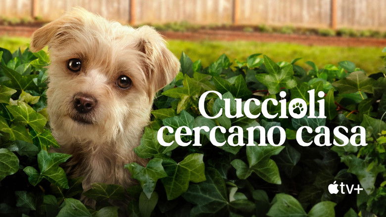 Gallery image from 9Jsu6U7uMLGZuhRxgej79vEjXgE.jpg