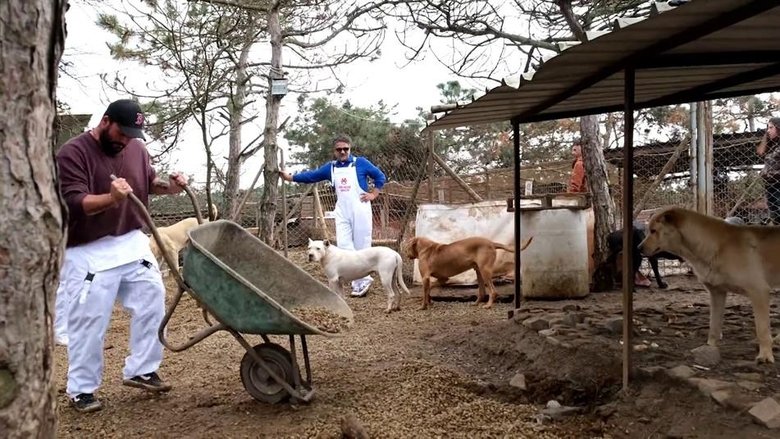 Still image for Arkadaş Canlısı season 1 episode 3: Episode 3