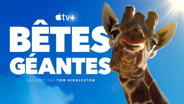 Gallery image from 9K5XBmNn1Iu88RLNLWAlyDmmoSP.jpg