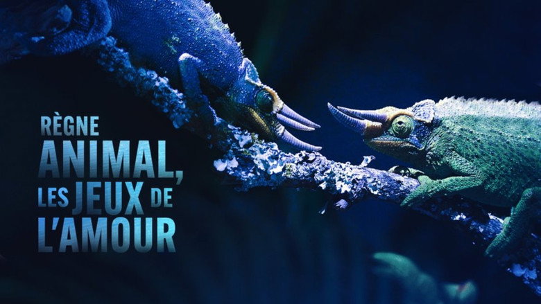 Règne animal, les jeux de l'amour 8