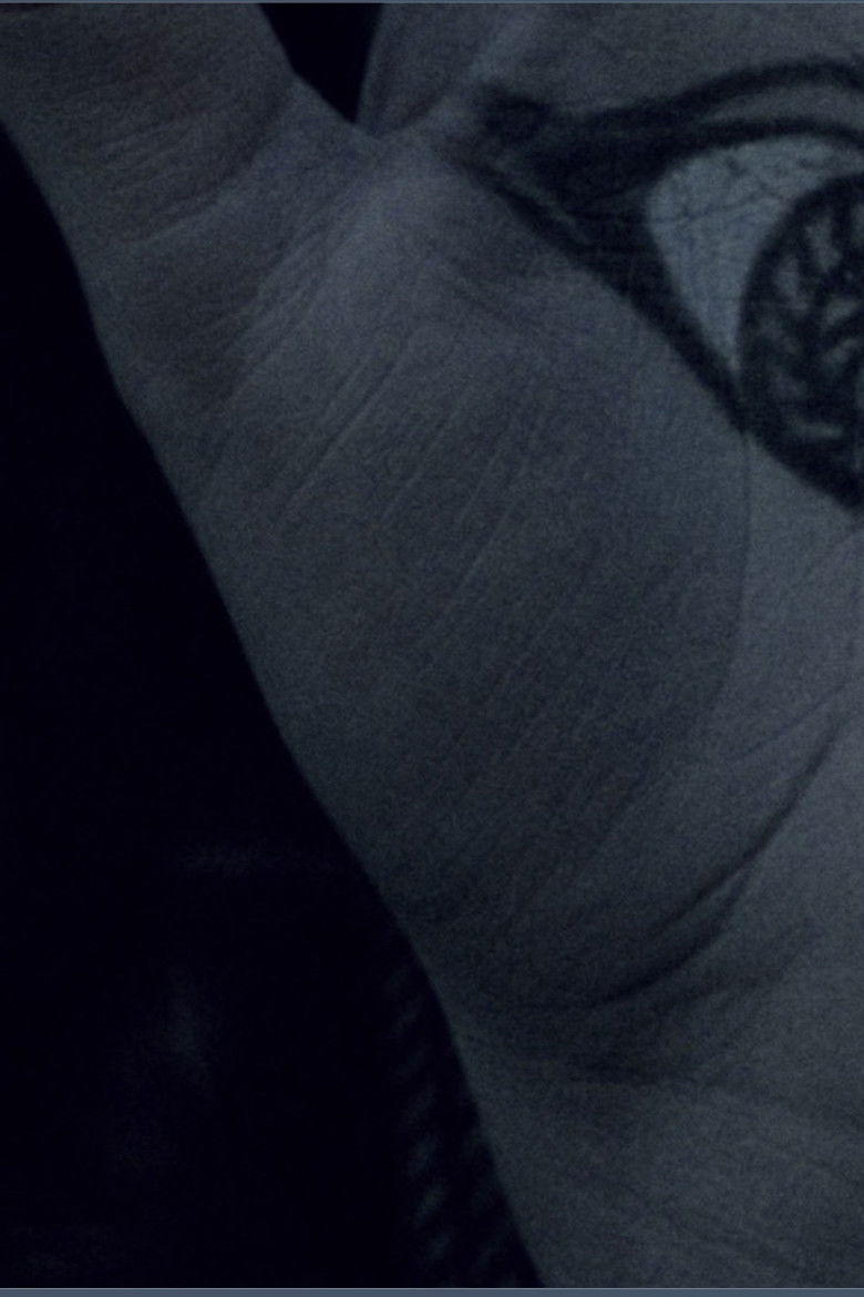 Imatge de Na Srebrnym Globie