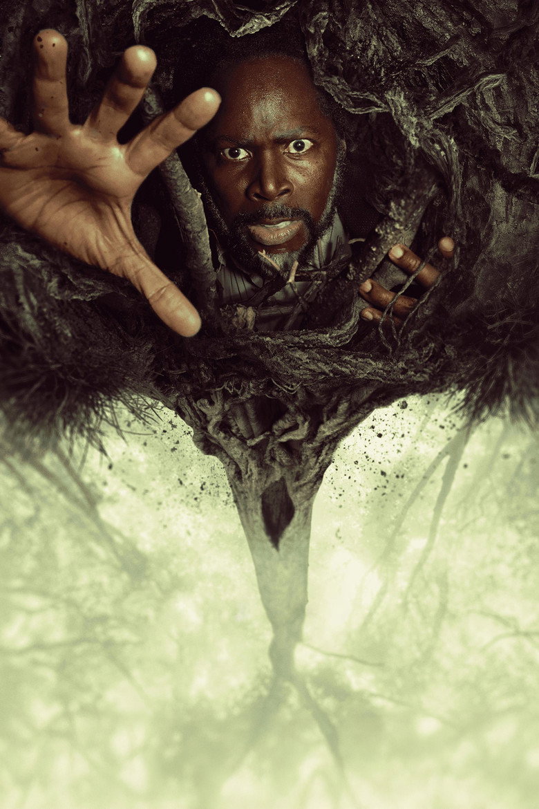 Póster la Serie