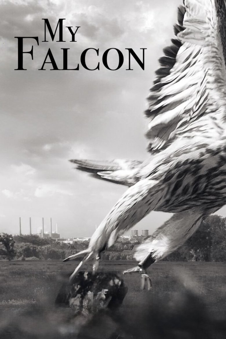 My Falcon main poster