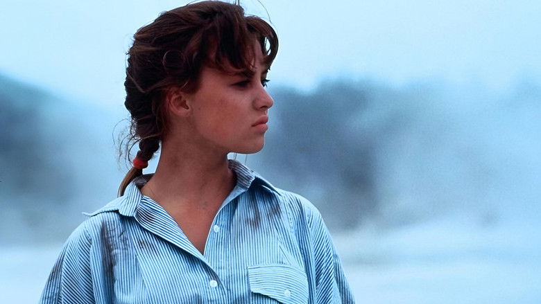 Image d'arrière-plan 2 du film The Rogue Stallion