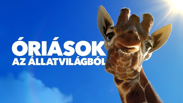 Gallery image from 9MjqyjdRvn4tGRV89WatobLskhN.jpg