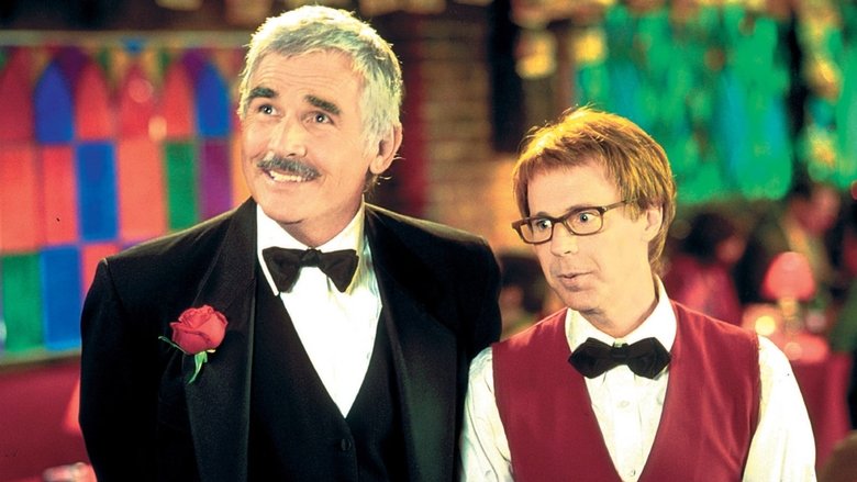 The Master of Disguise (2002)