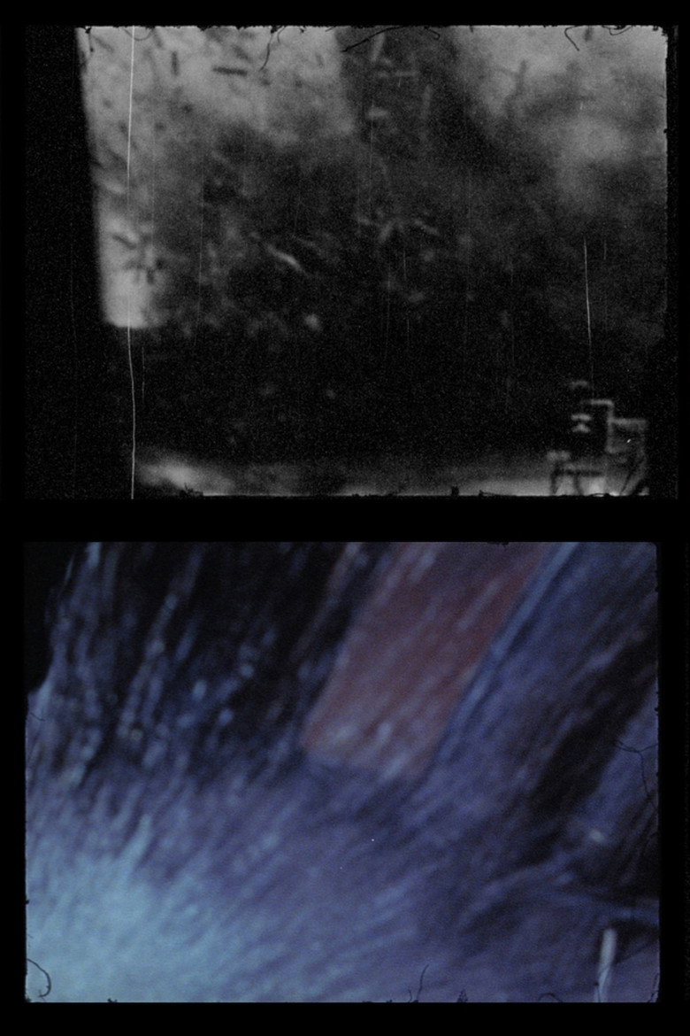 Imatge de Les images qui vont suivre n'ont jamais existé