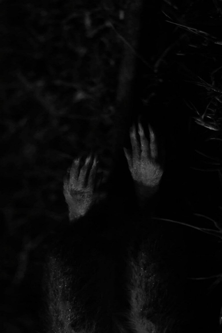 Cadaverous Sonneteer main poster