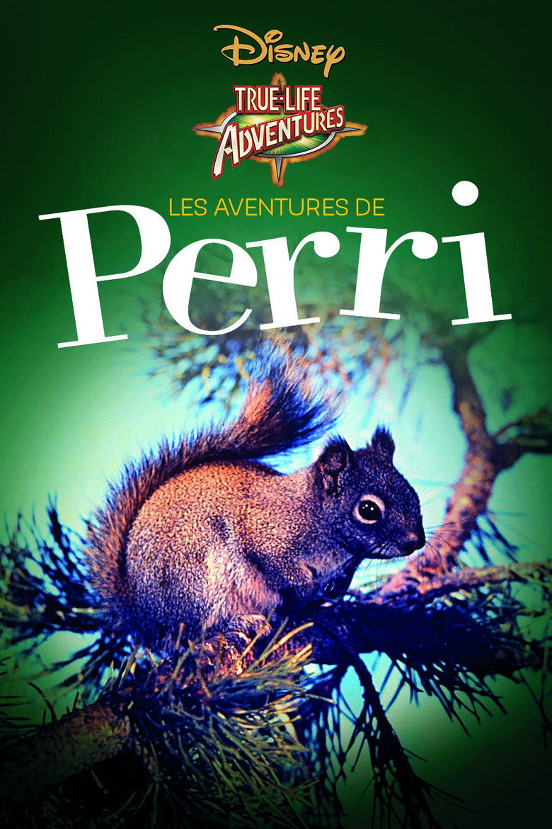 Póster la Película