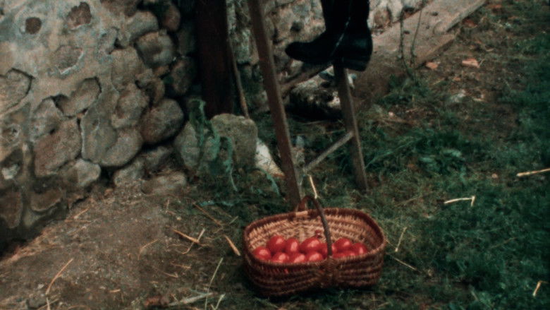 Image d'arrière-plan 4 du film Cantique des Cantiques