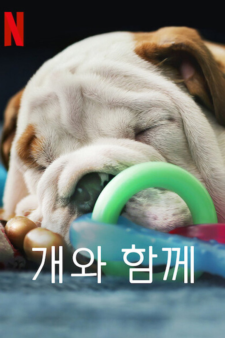 개와 함께