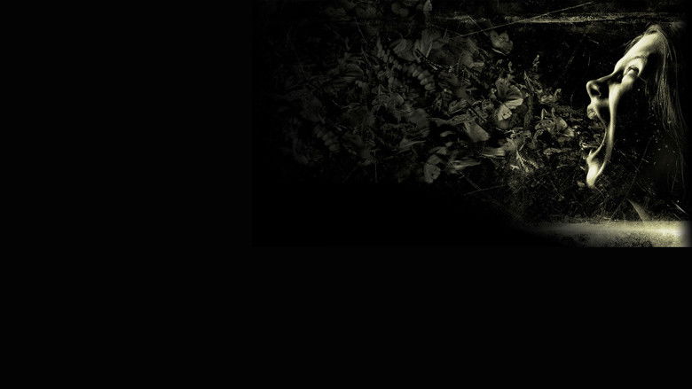 Imatge de The possession (L’origen del mal)