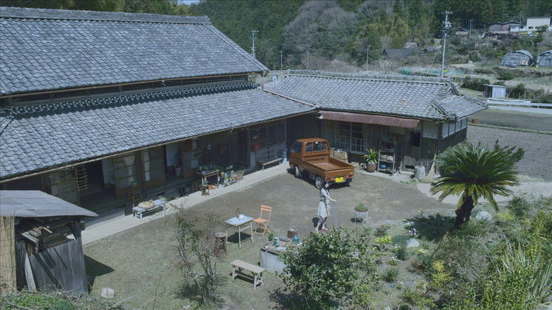 Image d'arrière-plan 2 du film Kiiroi Zou