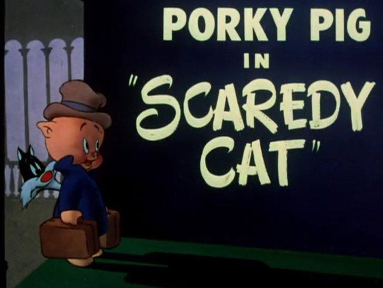 Scaredy Cat