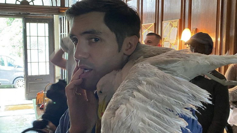 Медиа изображение