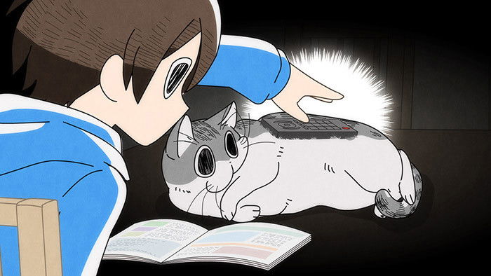 Still image for Nights with a Cat season 1 episode 14: Night 14: The Urge to Put Stuff on Cats