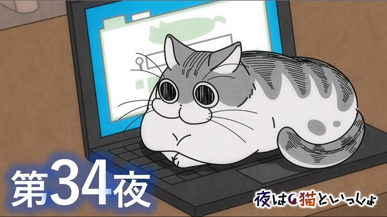 Still image for Nights with a Cat season 1 episode 34: Night 34: Cat on the Keyboard